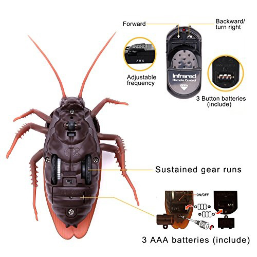 remote control giant cockroach comicool shop