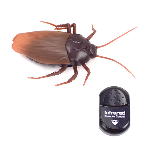 remote control giant cockroach comicool shop