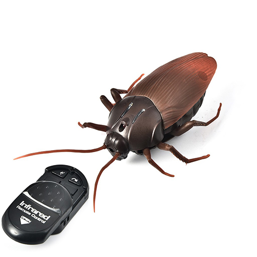 remote control giant cockroach comicool shop