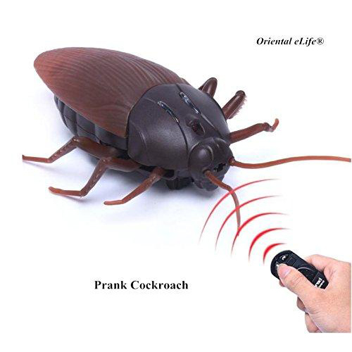 remote control giant cockroach comicool shop